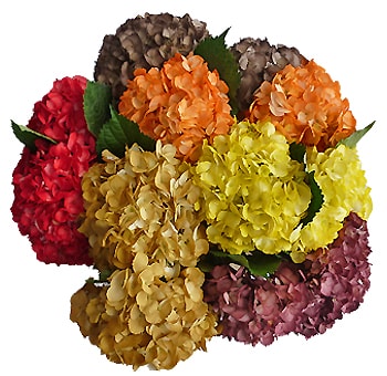 Fall Hydrangea Airbrushed Assorted