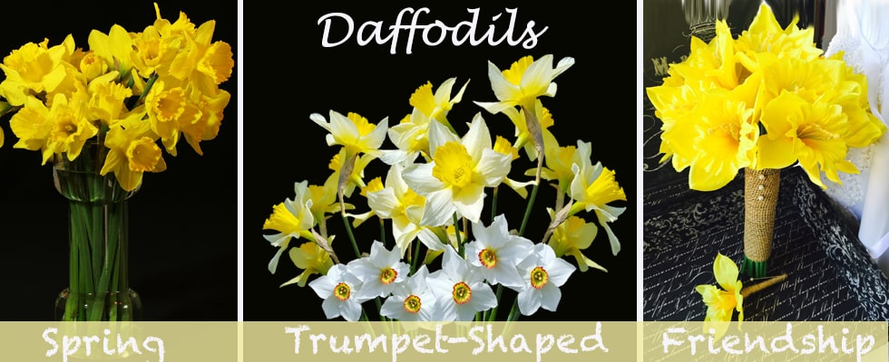 Daffodil Flower Decor