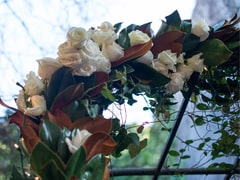 Fresh CutGarlands for Weddings, Events and The Holidays