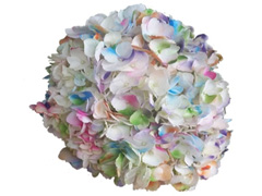 Hydrangea Flower Confetti