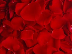 Dried Rose petals