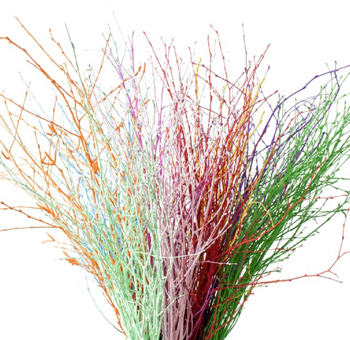 Birch Branches Assorted Dyed – Betula Pendula