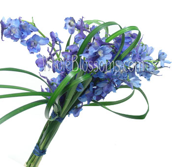 Blue Hand-Tied Delphinium Bridesmaids Bouquets