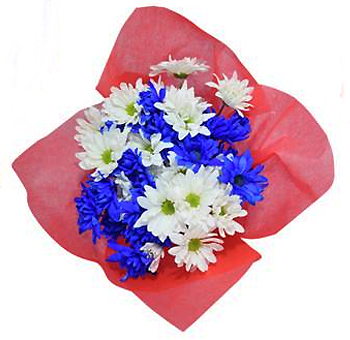 Patriotic Flowers