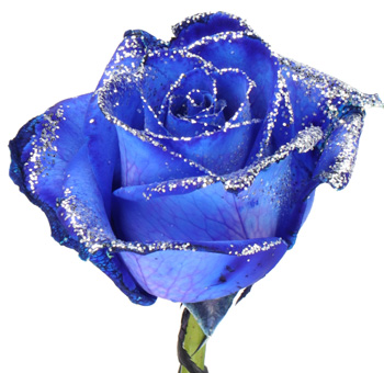 Blue Vendela Rose - Silver Glitter