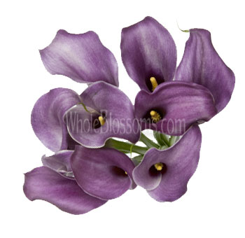 Lavender Calla Lily Bridesmaid Bouquets