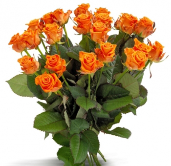 Long Stem Orange Roses - Super Premium