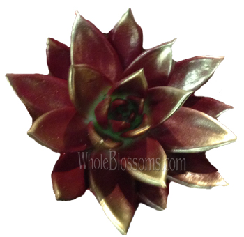 Burgundy Succulent Silver Painted