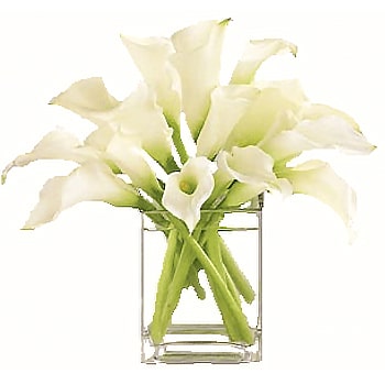 Calla Lily Gifts For Doctors & Nurses