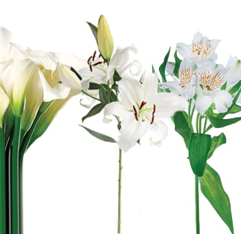 Exquisite bundle of Calla Lily, Oriental Lily, and Alstroemeria.
