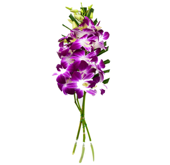 Purple Dendrobium Orchid Bouquet ( 3 Stems + 1 Leaf )