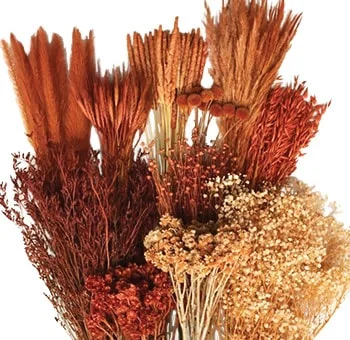 Dry Brown Mix Designer Box, a blend of hand-picked, preserved botanicals in warm brown hues for home decor.
