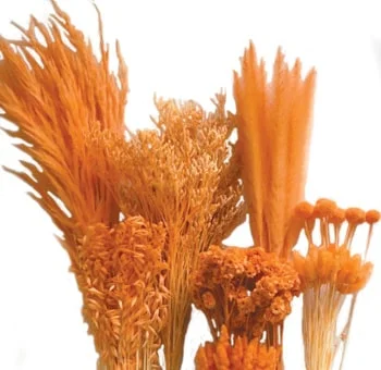 Vibrant orange dried fillers, enriching wedding and event decor with a warm, autumnal touch.