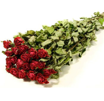 Dried Roses Spray - Red