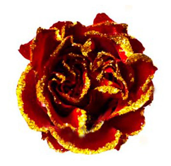 Dyed Roses - Golden Rain