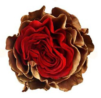 Dyed Roses - Xmas Antique