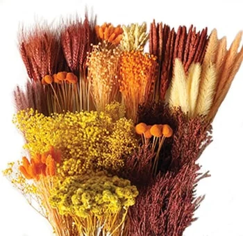 Dry Fall Mix Designer Box containing vibrant, preserved botanicals, ideal for autumn-themed home decor.