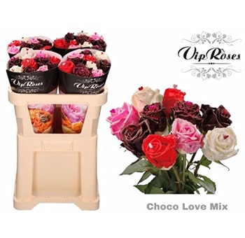 Fragrant Roses Choco Love Gift