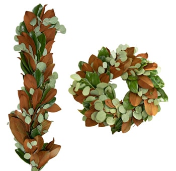Magonlia, Silver Dollar Eucalyptus Fresh Garland & Fresh Wreaths