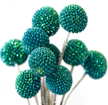Craspedia - Emerald Green Glitter Flowers