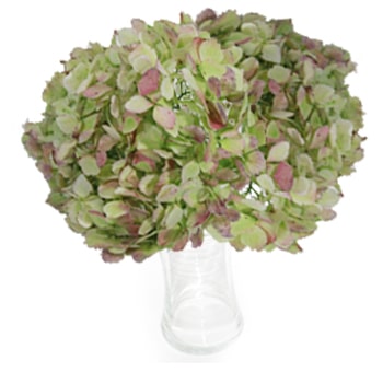 Green Hydrangea Antique Flower Bouquet