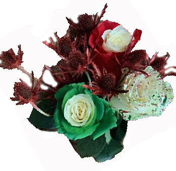 Holiday Confetti Red and Green Rose Collection