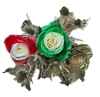 Holiday Ornaments Red Rose Collection