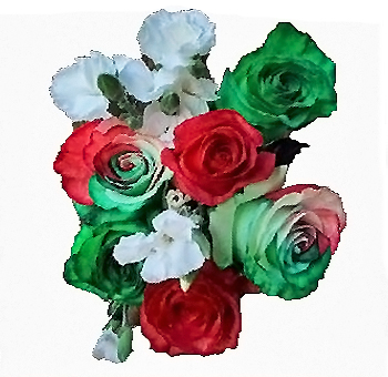 Holiday Stocking Stuffer Rainbow Rose Collection