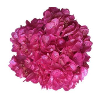 Metallic Hot Pink Glitter Airbrushed Hydrangea