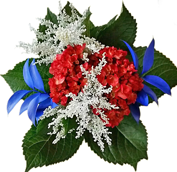 Red, White, and Blue Flowers | Patriotic Flower Arrangements