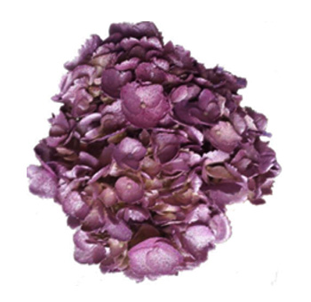 Hydrangeas Metallic Light Lavender with Glitter