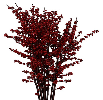 Ilex Berries Dyed - Dark Red