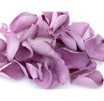 Lavender Rose Petals for Valentine's Day