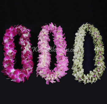 Double Lei Assorted