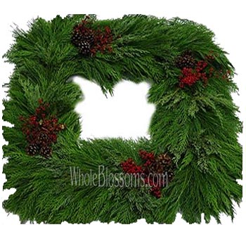 Leyland Fresh Cut Mix Squared Wreaths