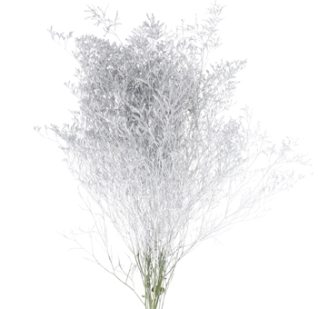 Limonium Flower - Painted Silver
