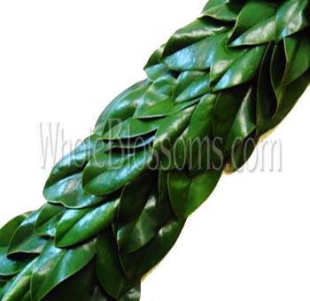 Magnolia Green Garland - Regular - 5 inches Wide