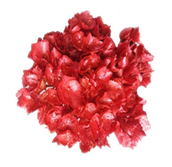 Metallic Glitter Red Airbrushed Hydrangea