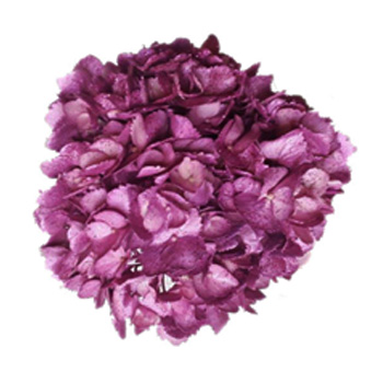 Lavender Hydrangea Metallic Glitter