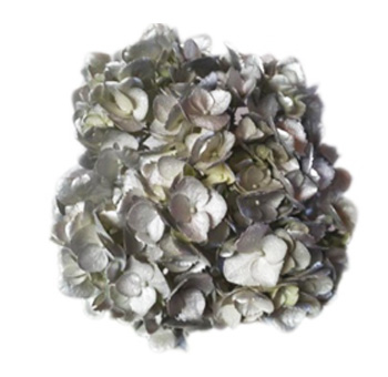 Metallic Silver Hydrangea Flowers