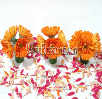 Orange Gerbera Mini Wedding Centerpieces