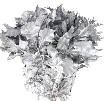 Silver Oak Leaves
