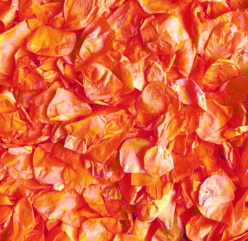 Orange Dried Rose Petals