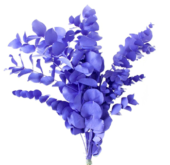 Painted Eucalyptus - Purple Blue