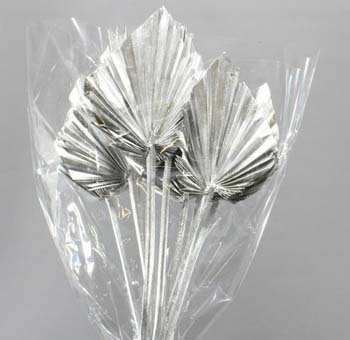 Palm Leaves Spear Dried - Silver
