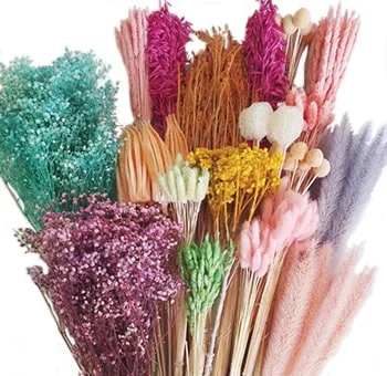 Dry Pastel Colors Mix Designer Box, elegantly packed with carefully preserved, soft-toned botanicals.