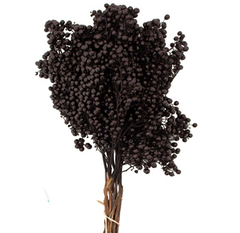 Pepperberry Dried - Black