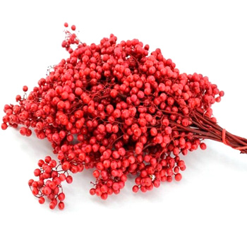 Pepperberry Dried - Red