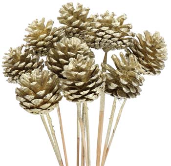Pine Cone Dried - Gold
