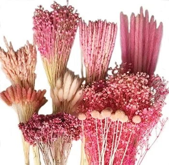 Delicate dried botanicals in varying pink hues, elegantly presented in the Dry Pink Mix Designer Box.